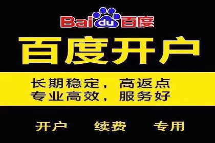 百度SEO推广公司经典之作：打造行业领先品牌