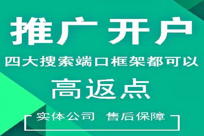 竞价广告的创意与执行：一则经典案例剖析
